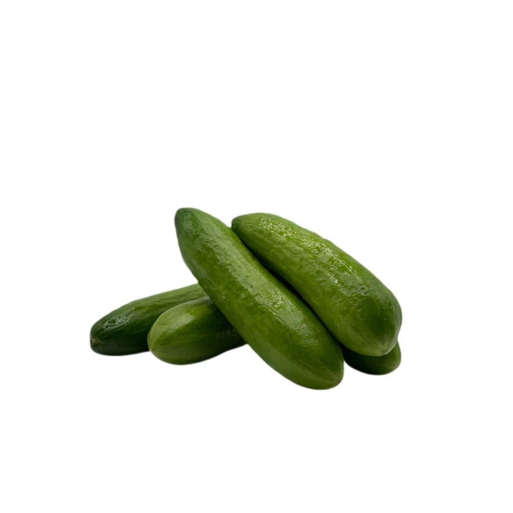 Baby Lebanese Cucumbers Cucumbers Zucchini and Eggplant Metro Fresh Norwood 