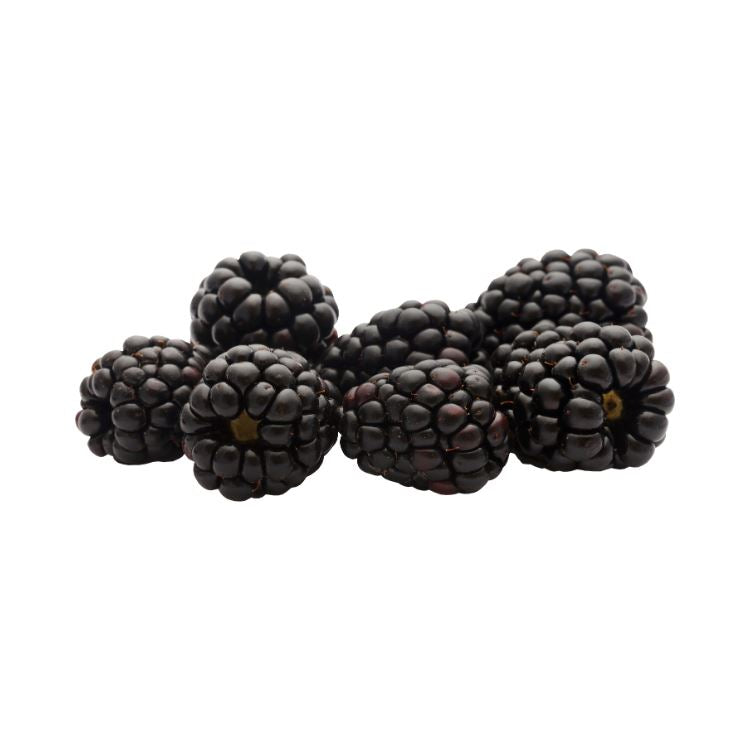 Blackberries Berries Metro Fresh Norwood 