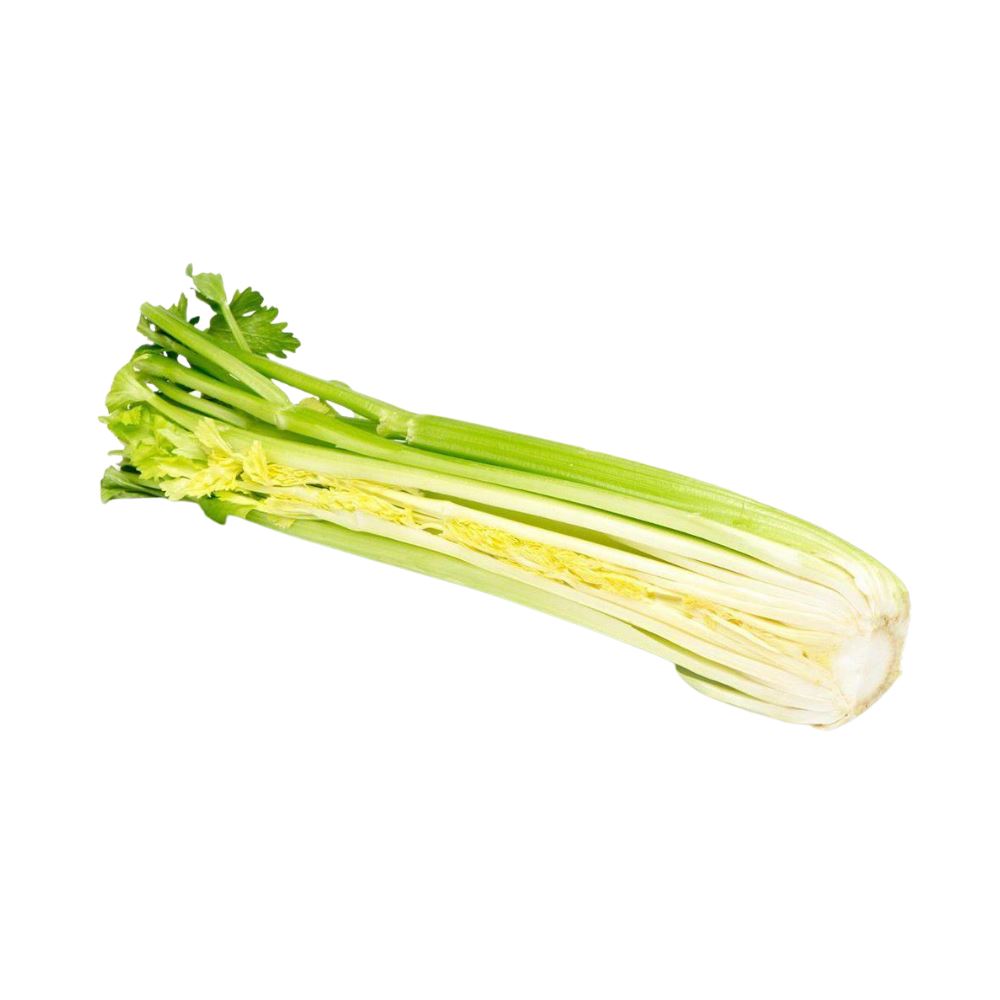 Half Celery Celery, Fennel and Rhubarb Metro Fresh Norwood 
