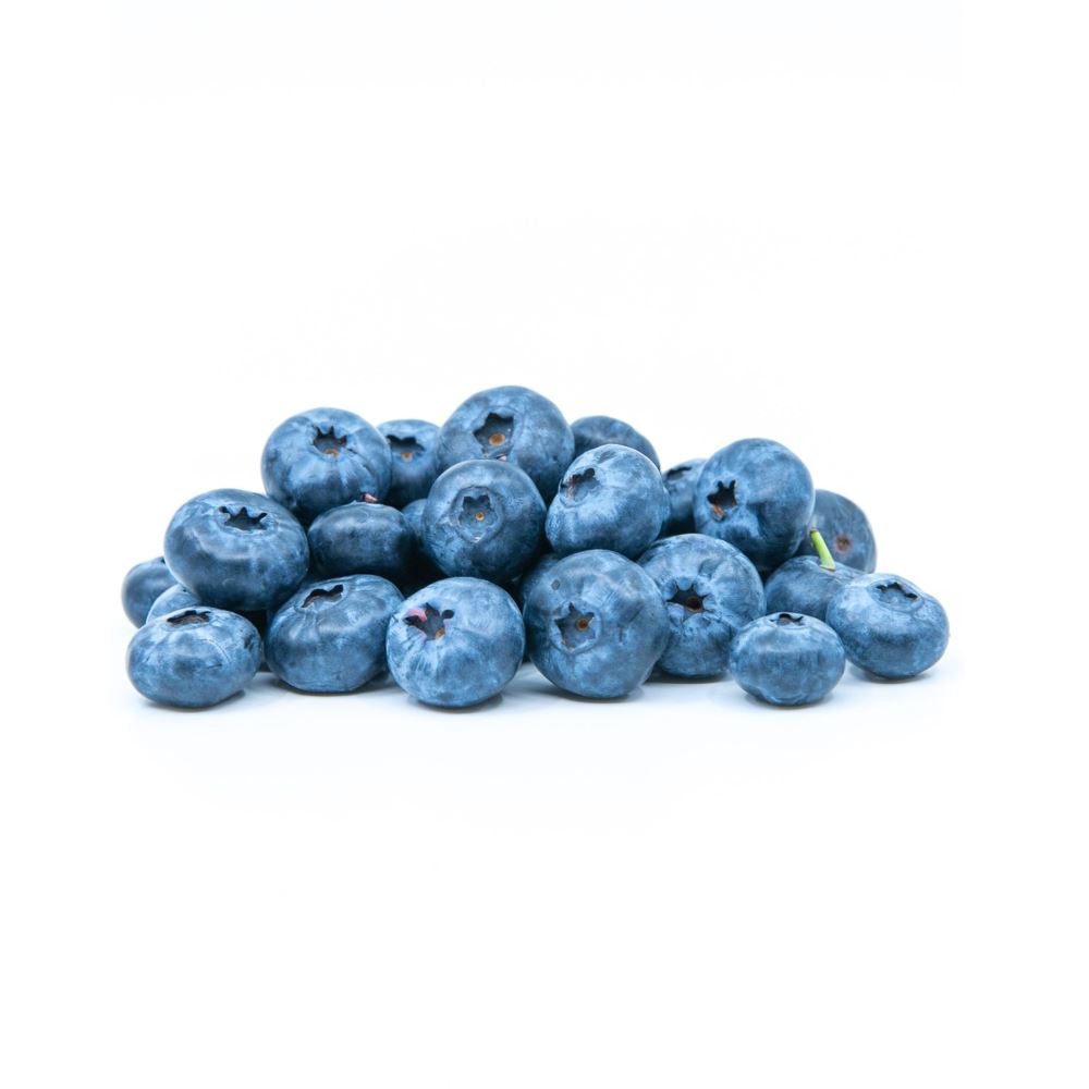 Jumbo Blueberries Berries Metro Fresh Norwood 
