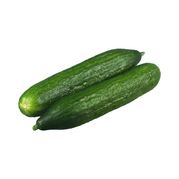 Lebanese Cucumbers Cucumbers Zucchini and Eggplant Metro Fresh Norwood 