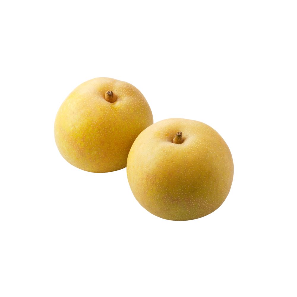 Nashi Pear Pears Metro Fresh Norwood 