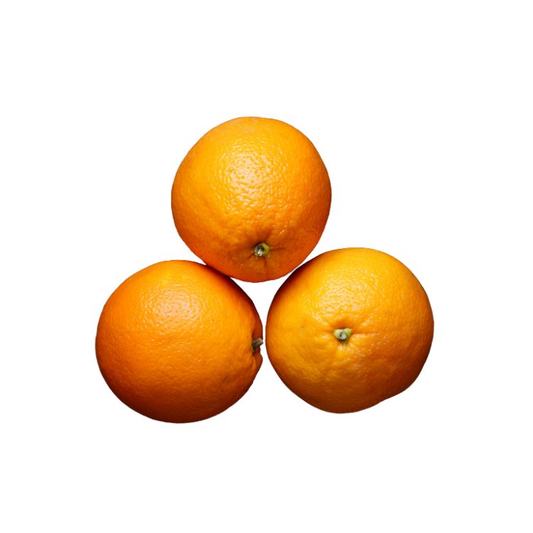 Navel Oranges Citrus Metro Fresh Norwood 