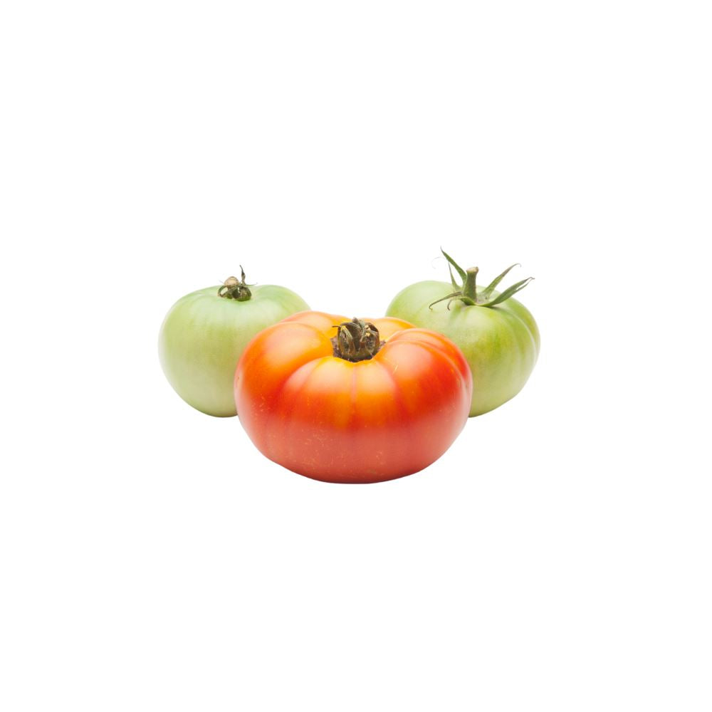 Otello Tomatoes Tomatoes Metro Fresh Norwood 