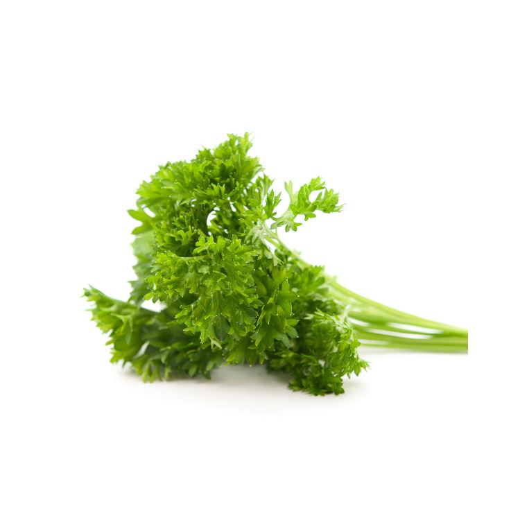 Parsley Curly Herbs Metro Fresh Norwood 