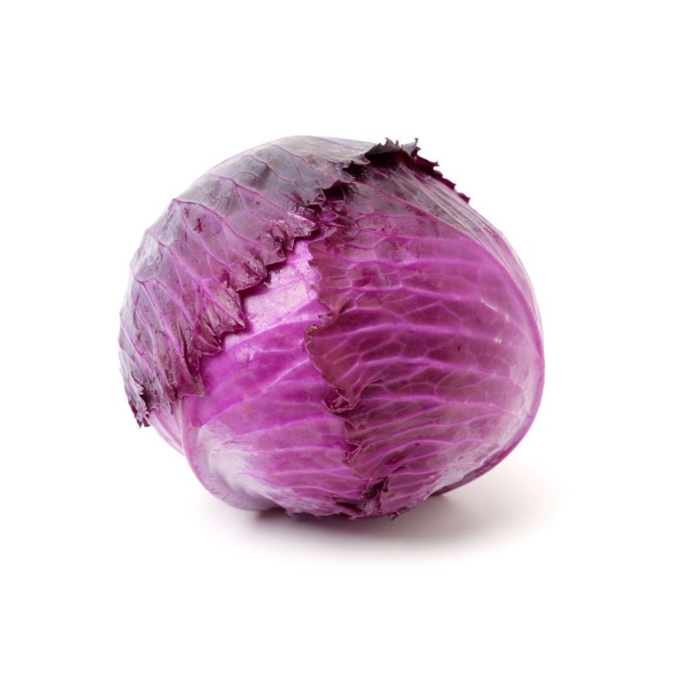 Red Cabbage Leafy Greens Metro Fresh Norwood 