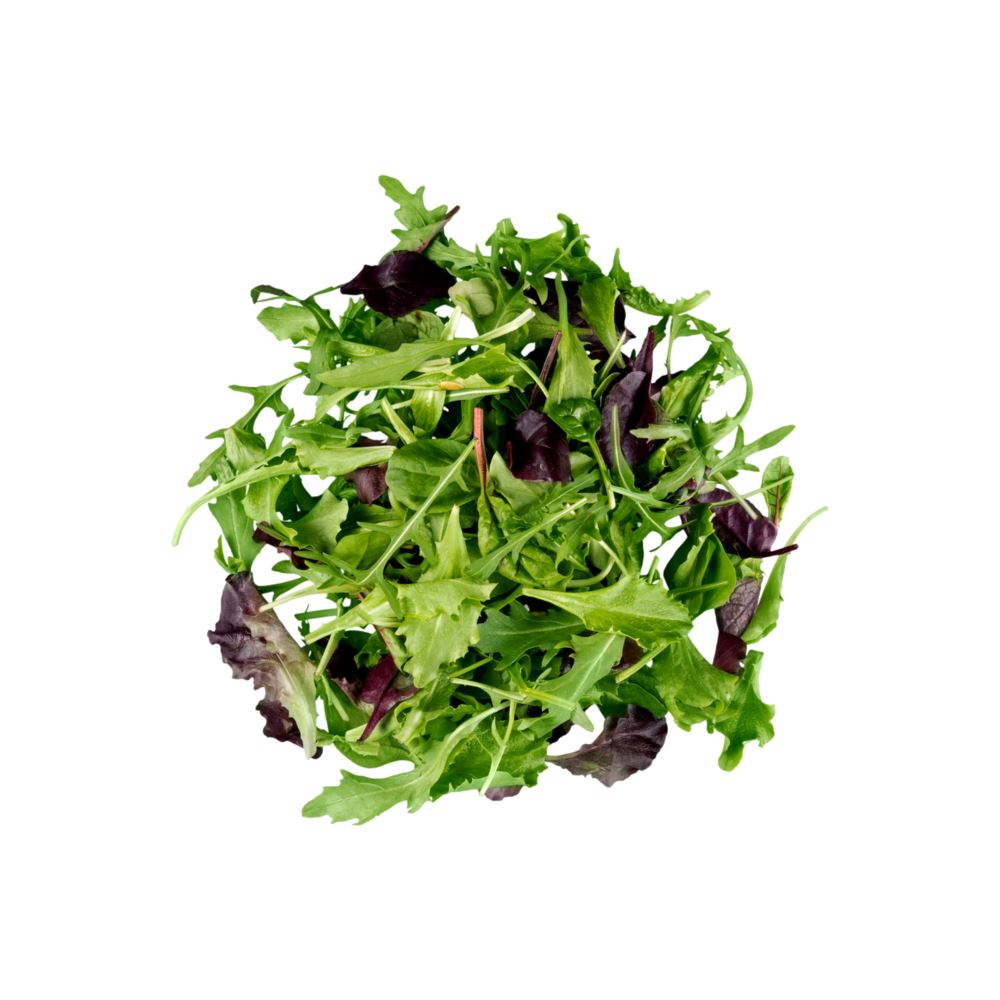 Salad Mix Leafy Greens Metro Fresh Norwood 