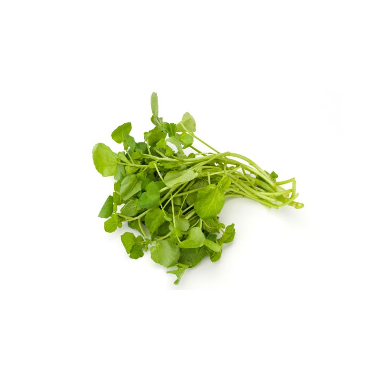 Watercress Herbs Metro Fresh Norwood 