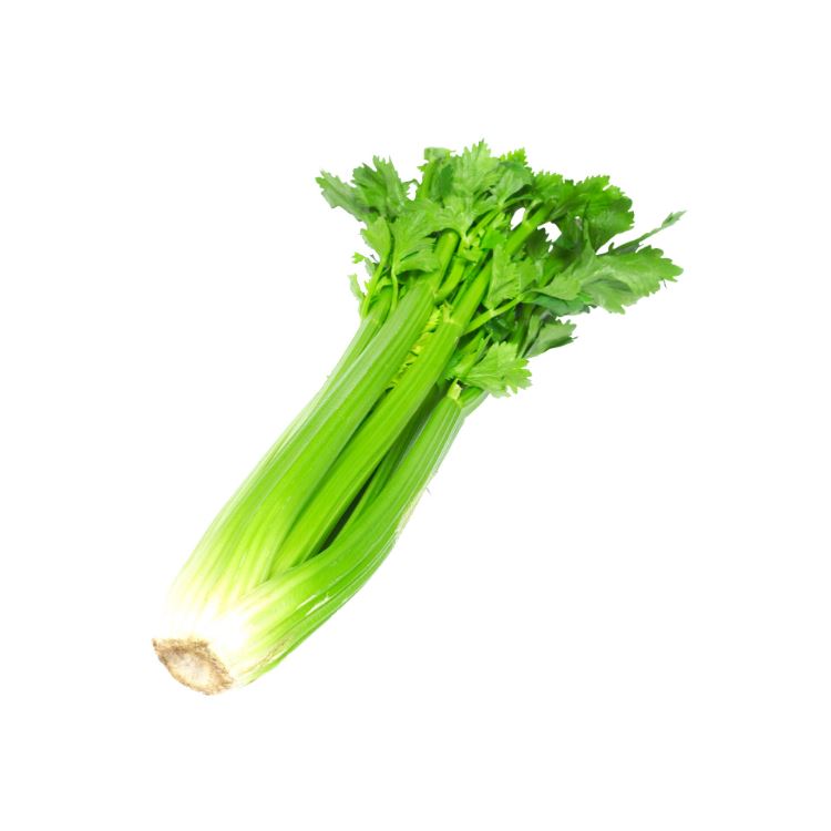 Whole Celery Celery, Fennel and Rhubarb Metro Fresh Norwood 